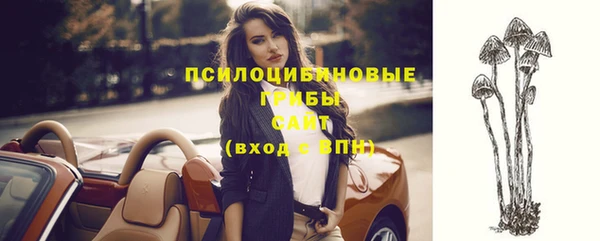 ПСИЛОЦИБИНОВЫЕ ГРИБЫ Каменск-Шахтинский