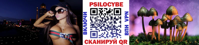 Купить закладки  Бокситогорск  Галлюциногенные грибы Magic Shrooms 
